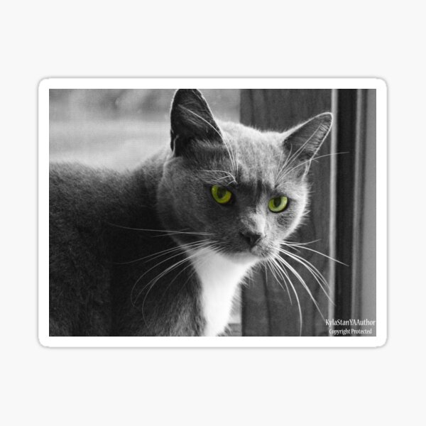 Black and White I Sticker