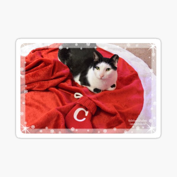 Chippy At Christmas II Sticker