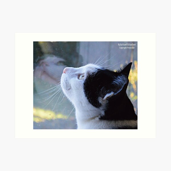 Chippy's Reflection Art Print