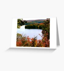 Natures Paintbrush Greeting Card