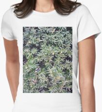 Building, skyscraper, symmetry, night lights, sky, evening, city view, spring Women's Fitted T-Shirt