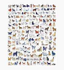 Every AKC Dog Breed Photographic Print