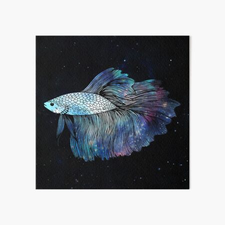 Betta Fish Galaxy Art Board Print