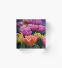Multicolored Tulips Acrylic Block