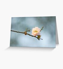 Calm Greeting Card