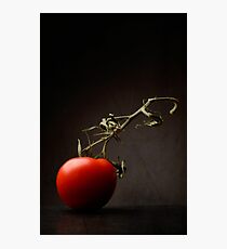Red tomato Photographic Print
