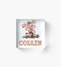 Collin Piggy Acrylic Block