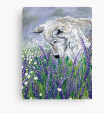 Lavender Wolf Canvas Print