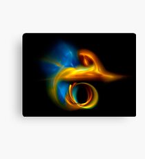 Apophysis Dolphin Canvas Print