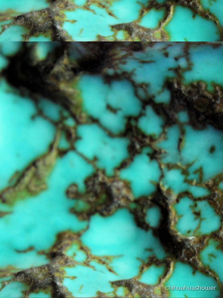 Turquoise gemstone by chihuahuashower