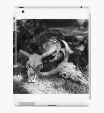 Cow Skulls iPad Case/Skin