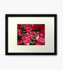 Flower Framed Print