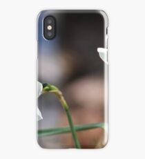 Daffodils iPhone Case/Skin