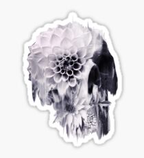DECAY Sticker