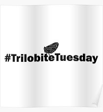 # Trilobite Tuesday Poster