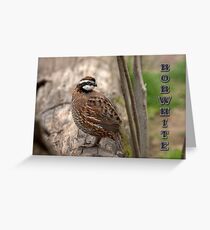 Bobwhite II Greeting Card