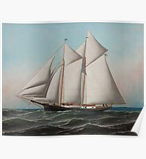 Vintage Schooner Sailboat Illustration (1887) Poster