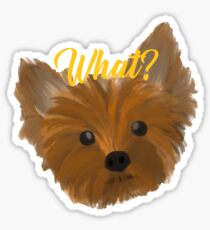 Yorkie Sticker