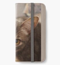 Ozzy the kitten iPhone Wallet/Case/Skin