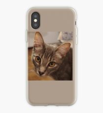 Ozzy the kitten iPhone Case