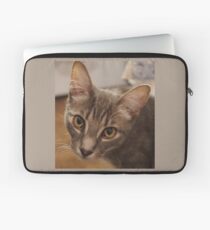 Ozzy the kitten Laptop Sleeve
