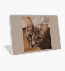 Ozzy le chaton Skin de laptop