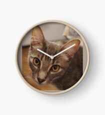 Ozzy le chaton Horloge