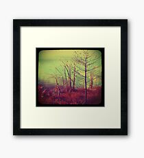 Bush by the Water ttv Framed Print