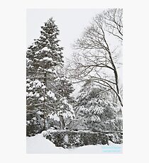 Winter Wonderland Storm Photographic Print