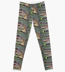 Gator Leggings