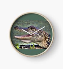 Gator Clock