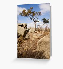 Tree at Big Rock Greeting Card