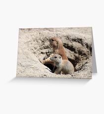 prairie dogs watching from hole Greeting Card
