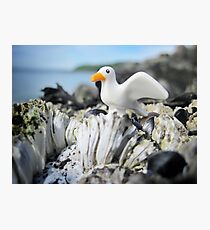 Sea-stuff Photographic Print