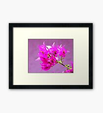 Purple on Purple Framed Print