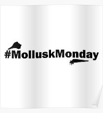 # Mollusk Monday Poster