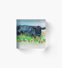 Black cow lying down painting Acrylic Block