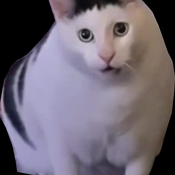 "Huh Cat Meme" Sticker for Sale by FloraPlantTees | Redbubble