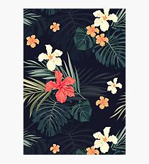 Dark tropical flowers Photographic Print