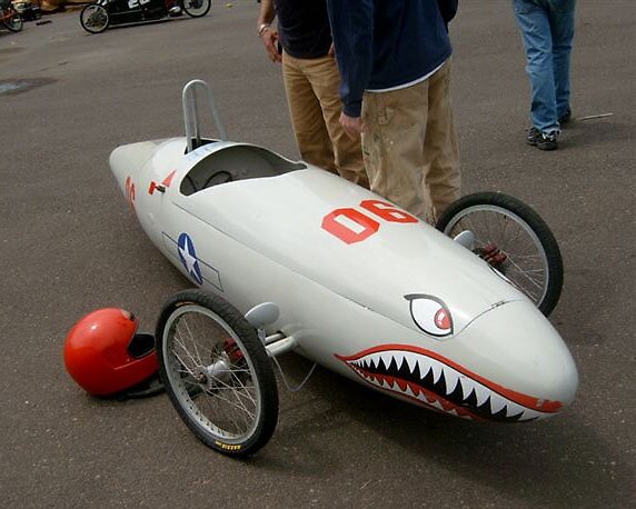 shark on car