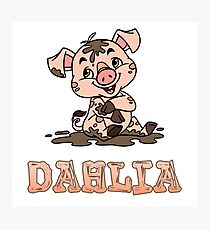 Dahlia Piggy Photographic Print