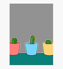 Three Little Cactus Photographic Print
