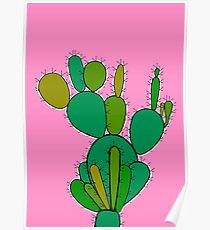 Cacti Poster