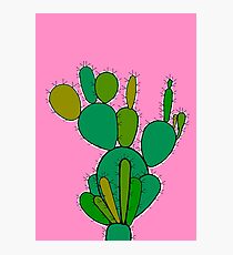 Cacti Photographic Print