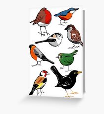 Garden Birds Greeting Card
