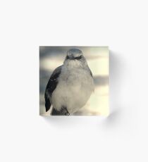 The Mockingbird Acrylic Block
