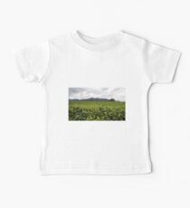 Tea Plantation Baby Tee
