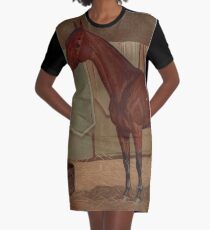 Vintage Rennpferd Illustration (1882) T-Shirt Kleid