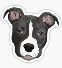 Pit Bull/ Puppy/ Blue Pit/ Dog/ Gray Pit Bull/ Blue Pit Bull/ Pet/ Cute Sticker