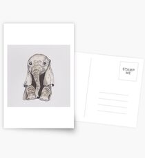Baby Elephant Postcards